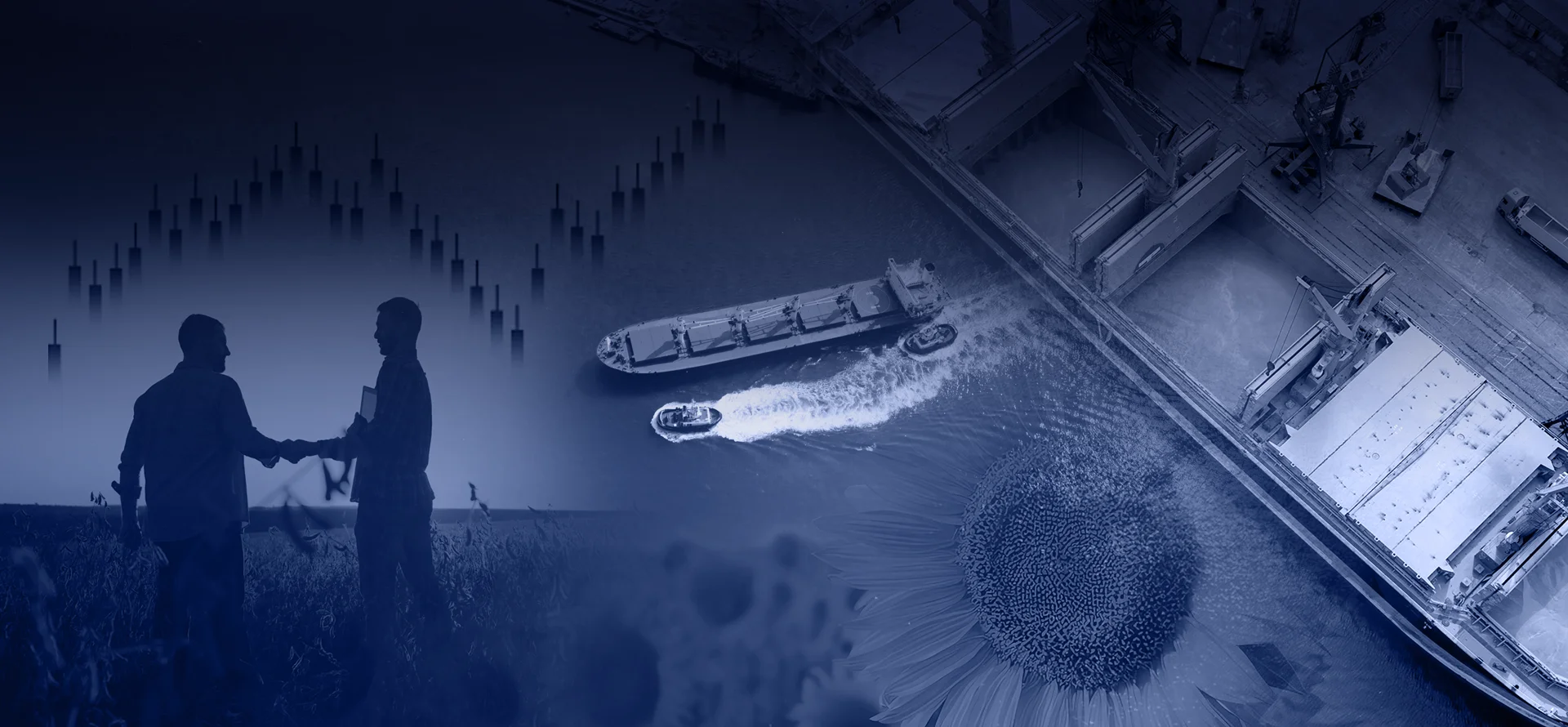Grain & Agricultural Commodity Trading in South Africa | Brisen Commodities